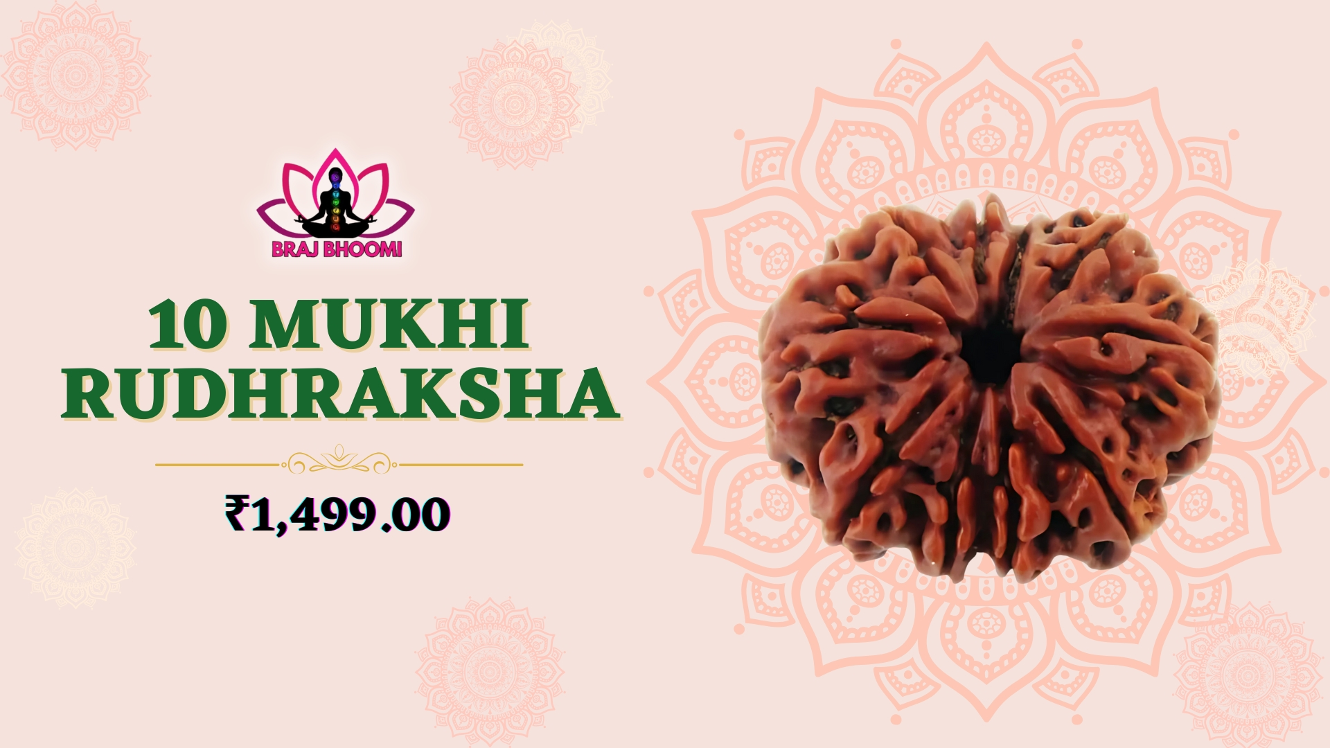 10 Mukhi Rudhraksha